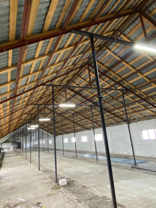 Inchriere sau colaborare