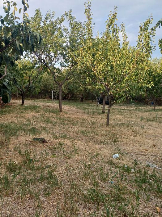 Teren intravilan de vânzare.