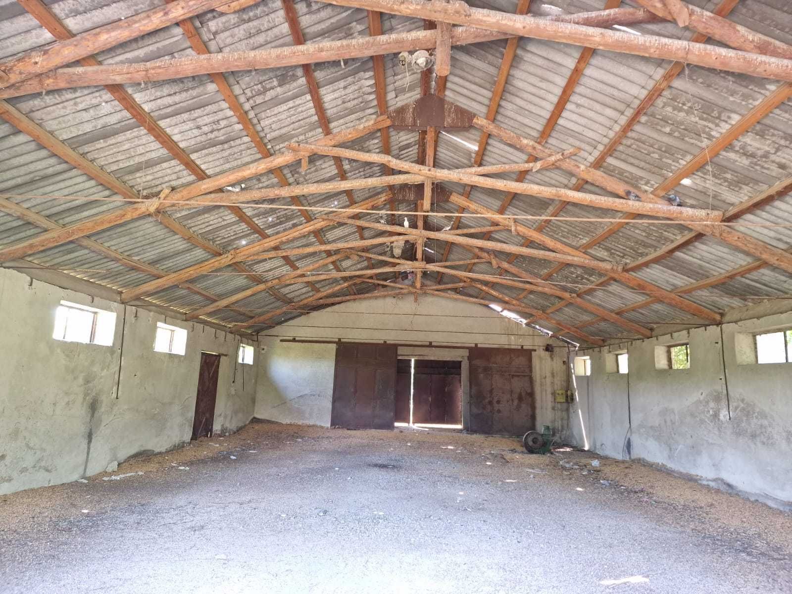 Teren intravilan 3800 mp, langa Bucuresti, la DN
