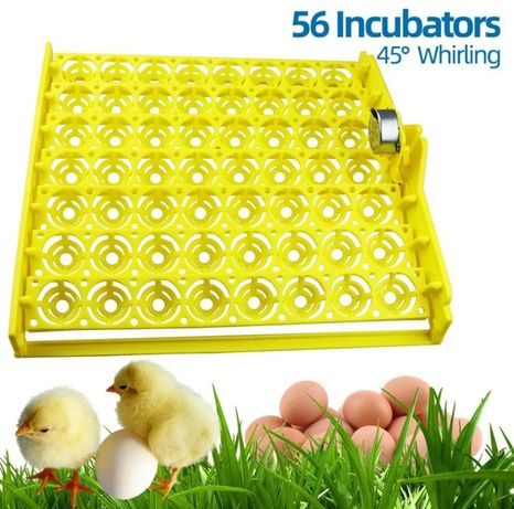 Inkubator inkubatir инкубаторлар latoklari