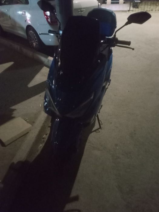 Sikutr sotiladi naxtga