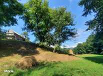 Teren 2.7ha- pretabil cabana/casa-Rebrisoara-EXCLUSIVITATE
