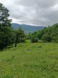 Teren Extravilan 11.800 m2 Comuna Agas, sat Preluci Jud Bacau