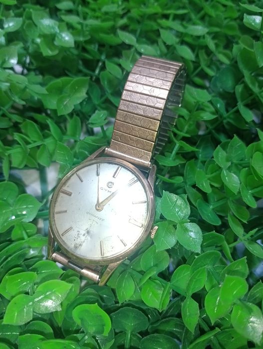 Сума Swiss Jewels позлатен часовник - 99 лв