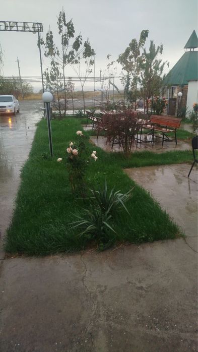 Kafe, tayor biznes sotuvda