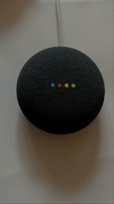 Nest mini 2.