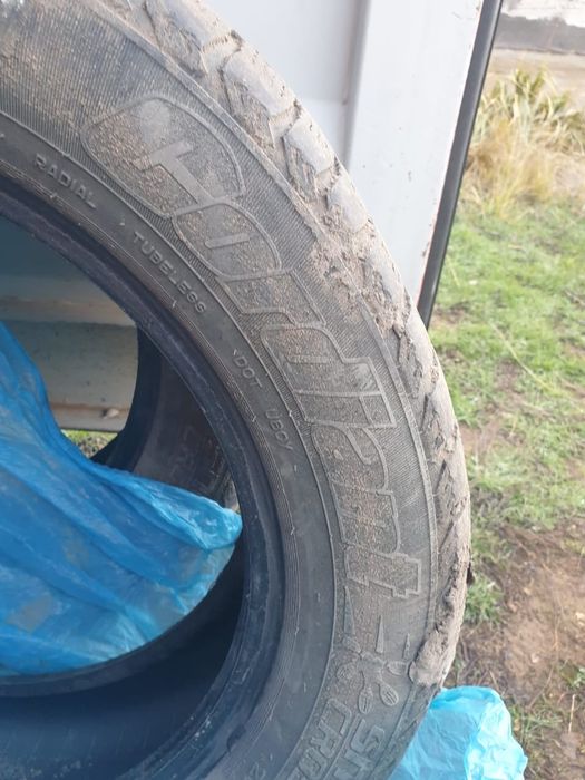 Зимние шины 2 шт