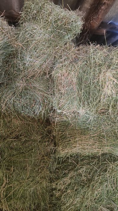 Жонышка прес сатылады