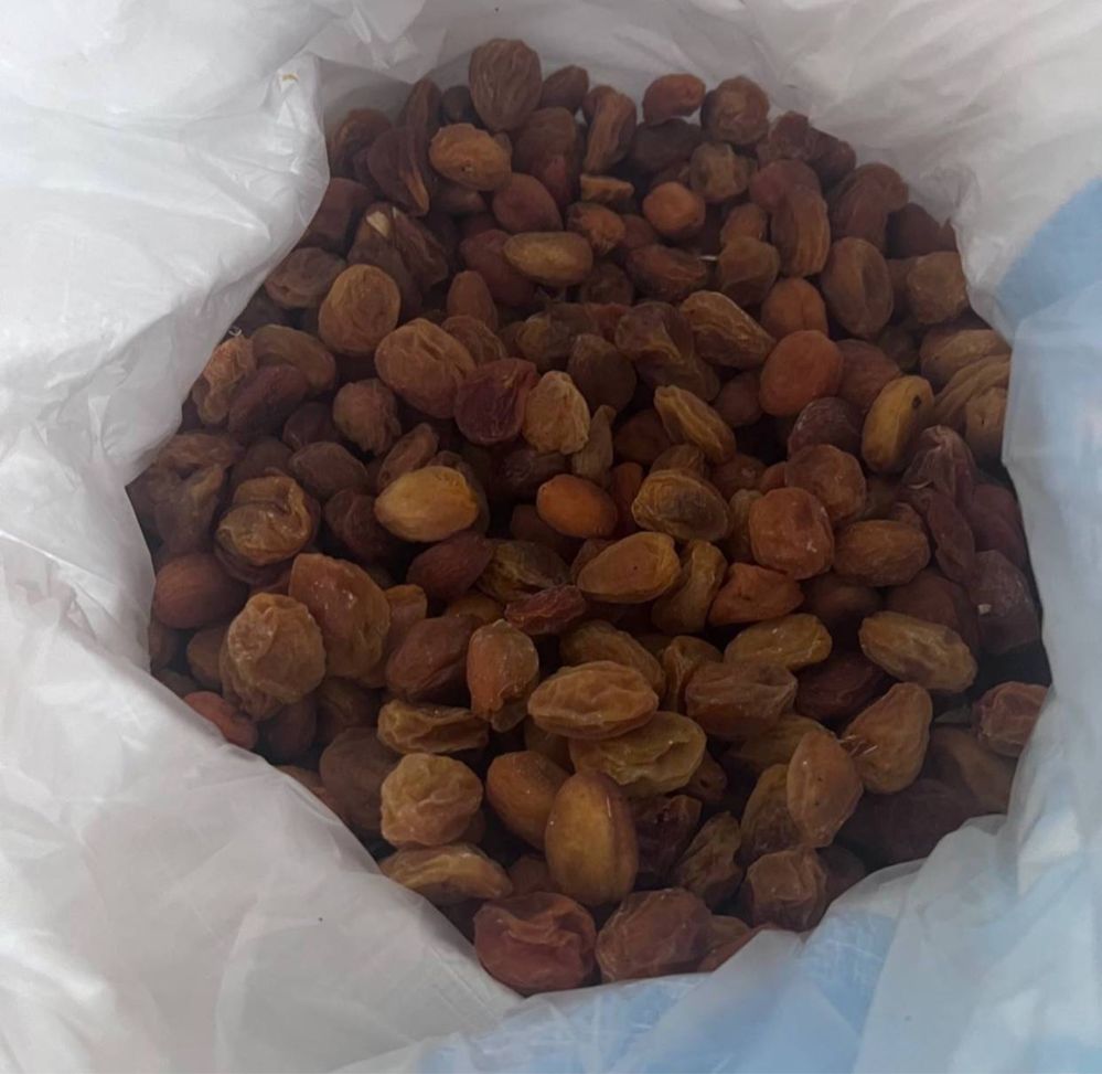 Bizda arzonroq insof sari Tayor qurtilgan turshakla sotladi shirin !!!