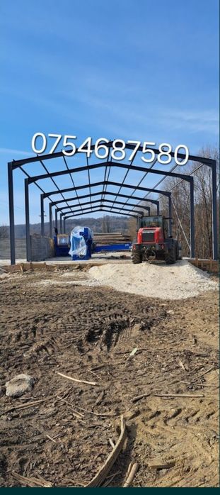 Vand hala pe structura metalica