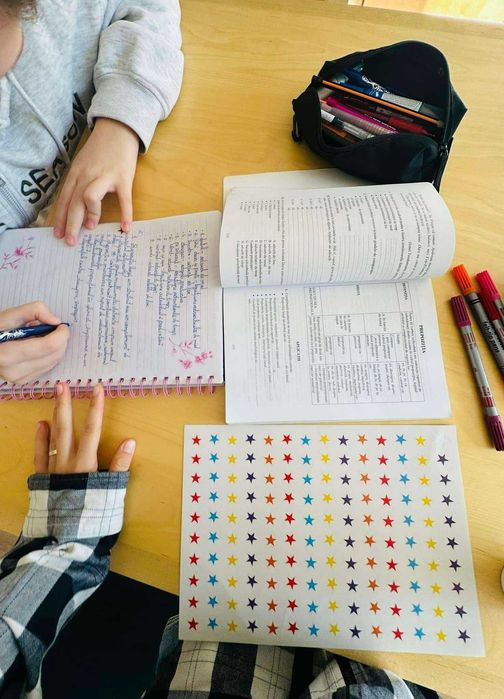 Meditații și ajutor la teme pentru Limba și literatura română