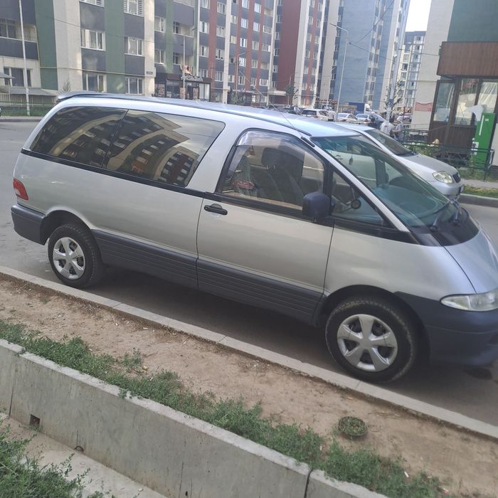 Таета естима Lusida