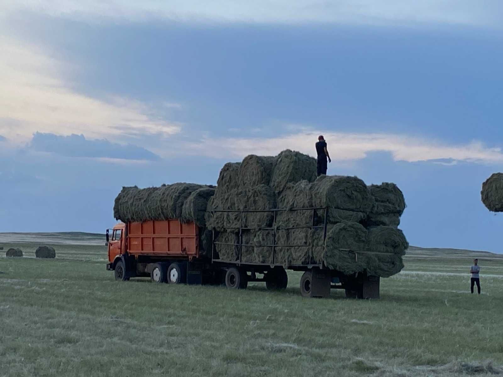 Продам КХ, Откорм, Пашня, Пастбища, Сенокос - 3 360 га.