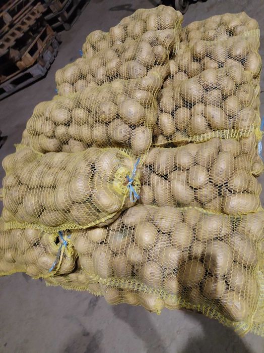 Сорт Сорая 0.85ст