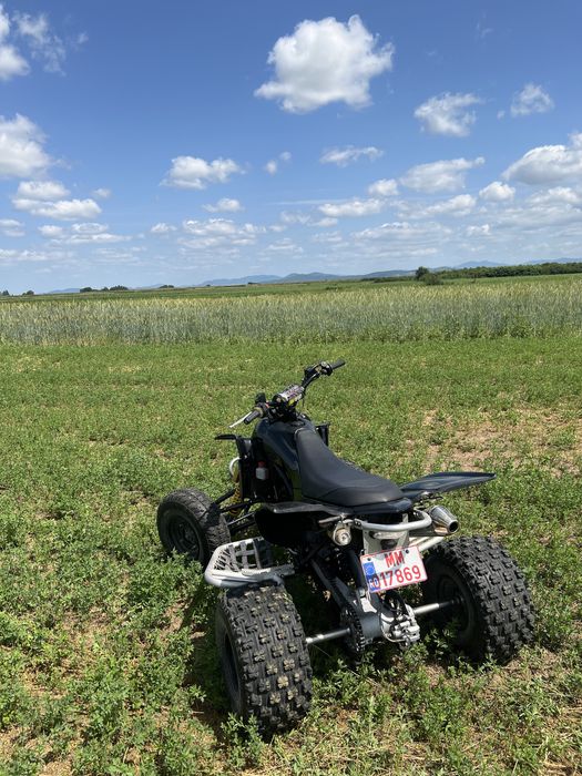 Atv/Quad GasGas Wild Hp 450