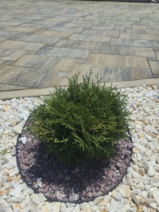 Pavaje premium /amenajare curte pavele - Otopeni