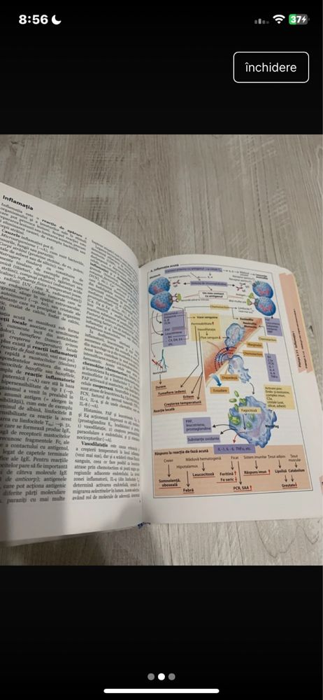 Atlas Fiziopatologie