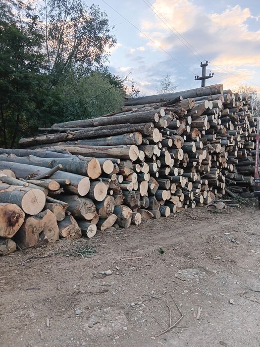 Lemn de foc esență tare fag, stejar și salcâm