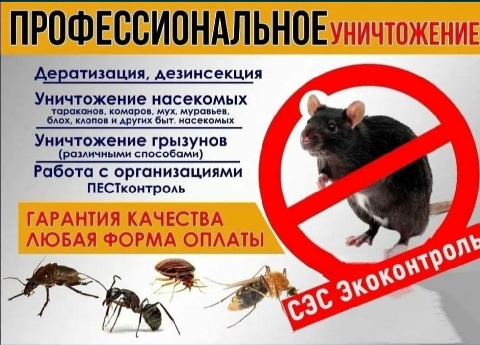 Уничтожение Дезинфекция