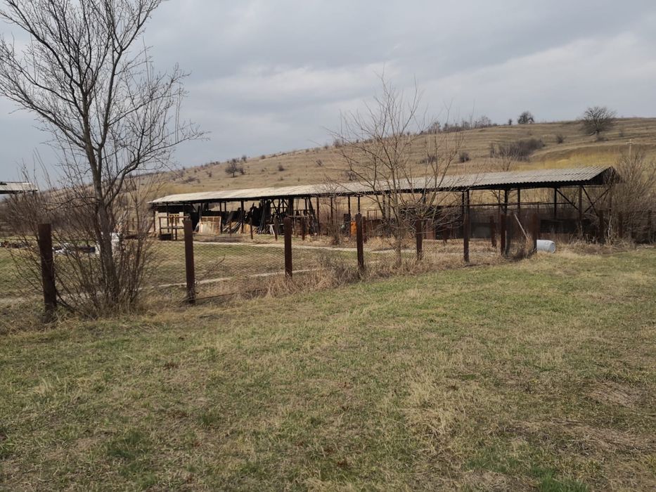 Teren de vanzare intravilan