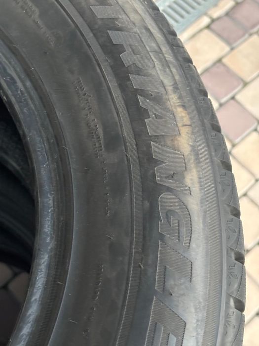 Шины зимние Triangle