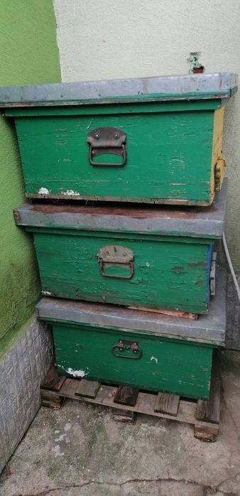 Cutii stupi orizontal și verticali