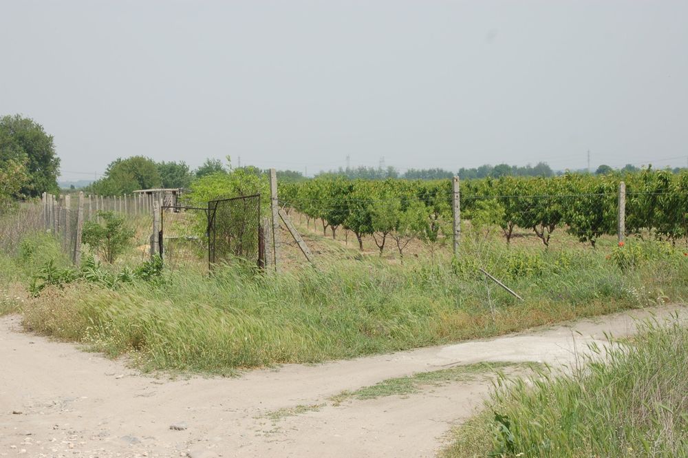 Отдавам овощна градина дългосрочно