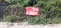 Teren de vanzare - Catina, Floresti