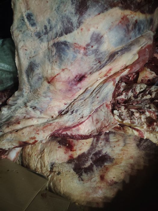 Ет мясо Урджар Маканшы кунажын говяжий говядина сиыр жылкы