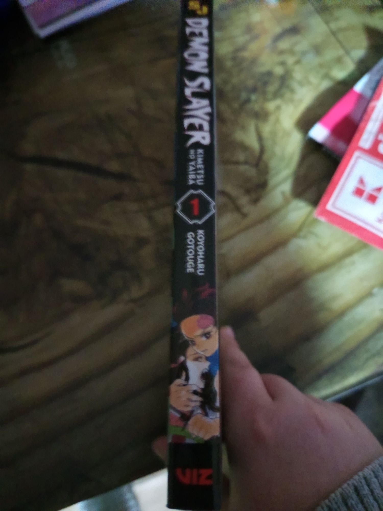 Demon slayer volumul 1