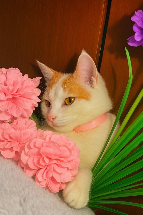 Снежана ждёт СЕМЬЮ