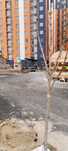 Продается квартира в Ипотеку на Воднике 3/9/17 ID:FRP281