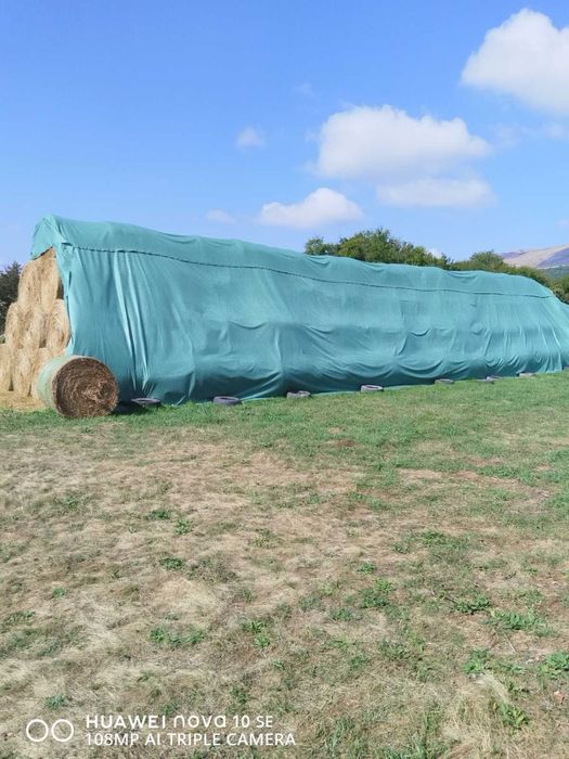 Бали сено 120/120