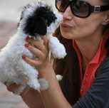 PET SITTER - Îngrijire animale la domiciliu - Iubire şi vizite zilnice