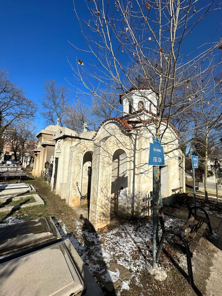 Loc de veci Cimitirul Bellu