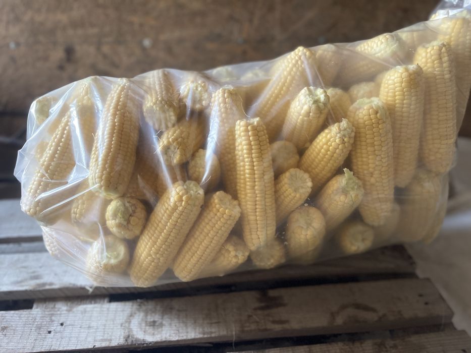 Vand porumbi de fiert zaharat