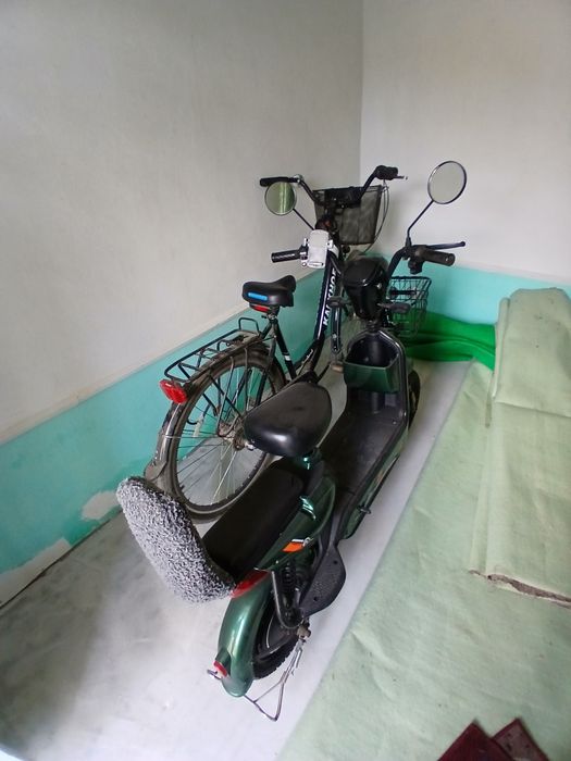 Velik vs skuter ikkovi sotiladi