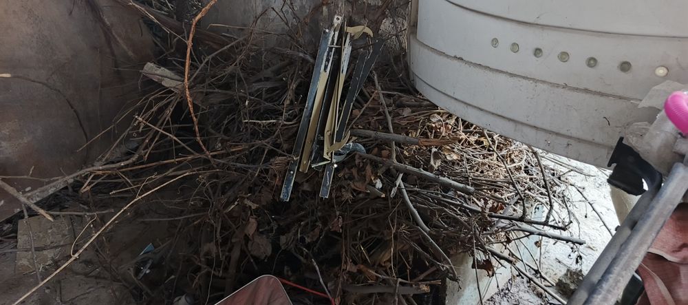 Утин текинга берворилади шох шабба тандирга Зур куриган