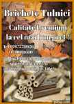 Brichete pentru foc premium