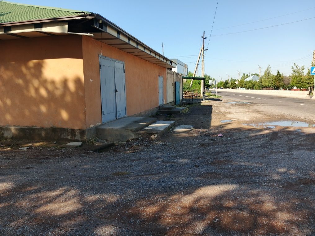 Azadbash gai roʻparasida