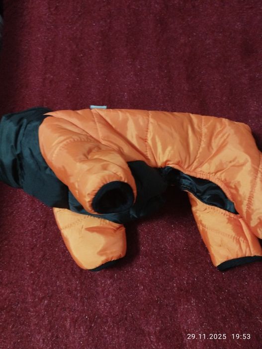 Зимни дрехи за куче