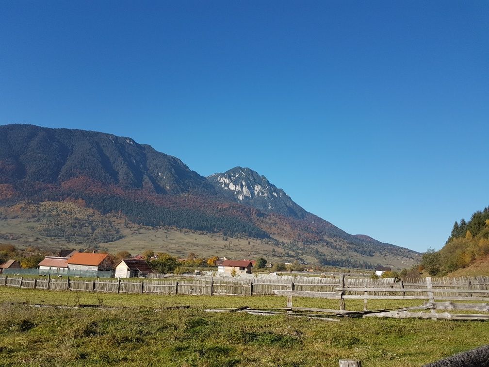 Teren la munte poiana marului Brasov