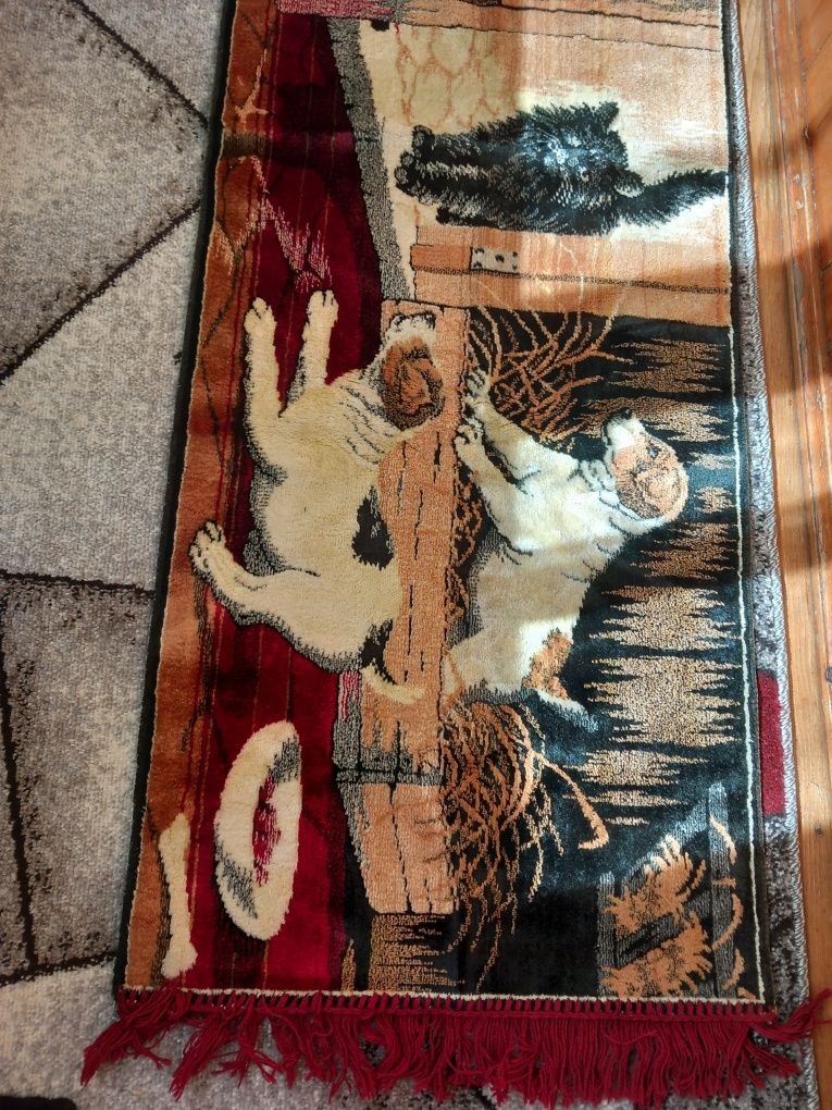 Carpeta cățeii și pisica vitange
