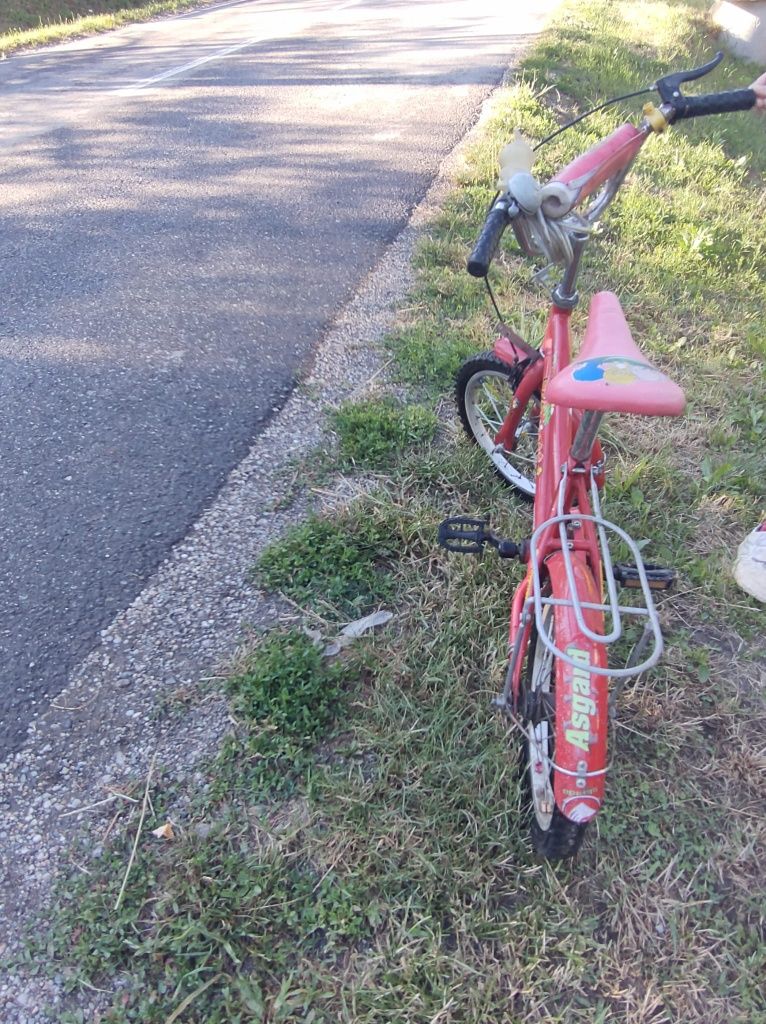 Vând bicicleta pentru copii plus cadou casca