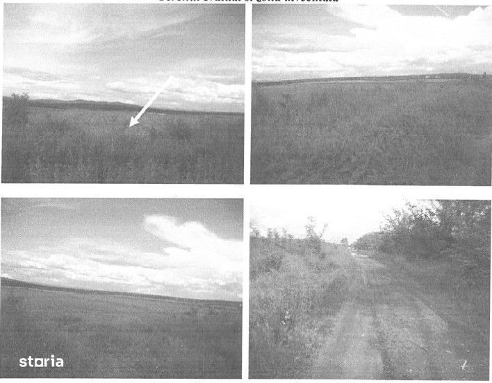 Teren extravilan 10000 mp Dumbravesti, Prahova - 3080530