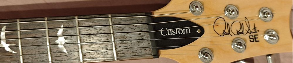 Prs se custom 24 bonnie pink