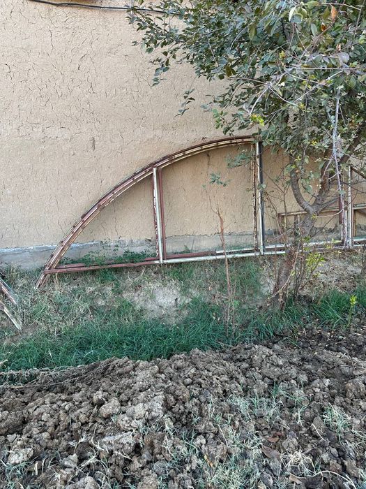 Тайор ферма сотилади теплицаники