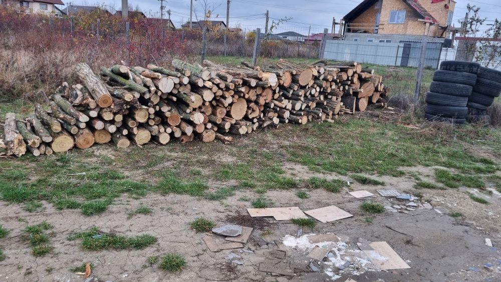 Lemne de foc Pitești Smeura