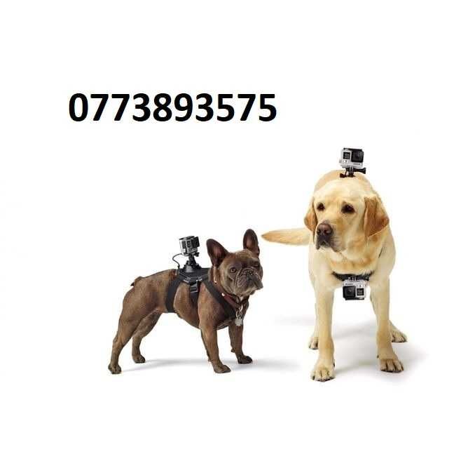 Prindere ham caine pt. camera actiune GoPro Insta360 Dji ham