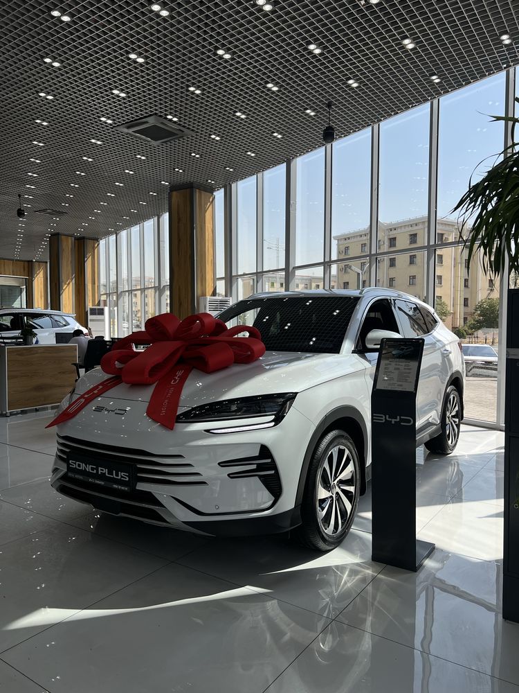 BYD SONG PLUS CHAMPION 110km Flagship 2025